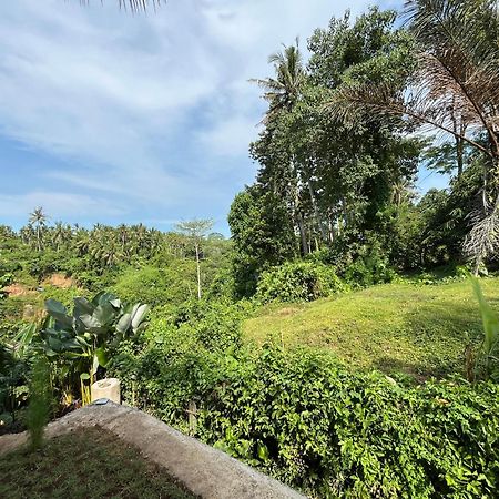 D'Nanda Villa Ubud Extérieur photo