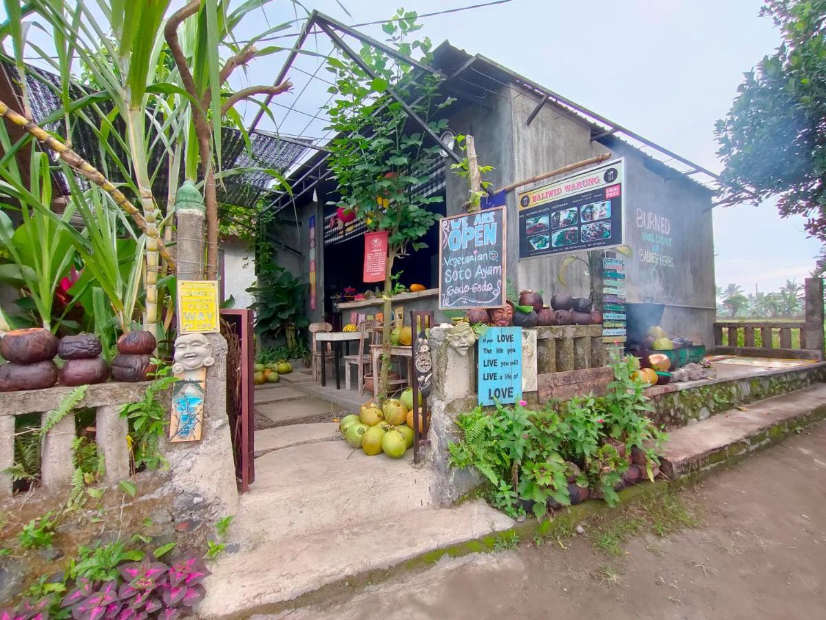 D'Nanda Villa Ubud Extérieur photo