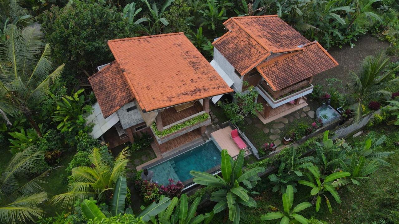 D'Nanda Villa Ubud Extérieur photo