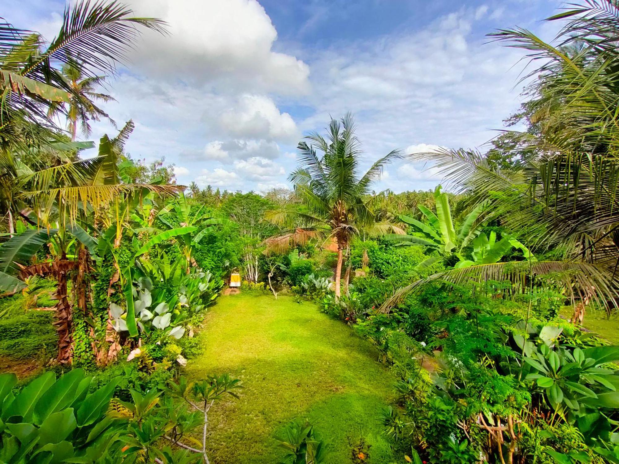 D'Nanda Villa Ubud Extérieur photo
