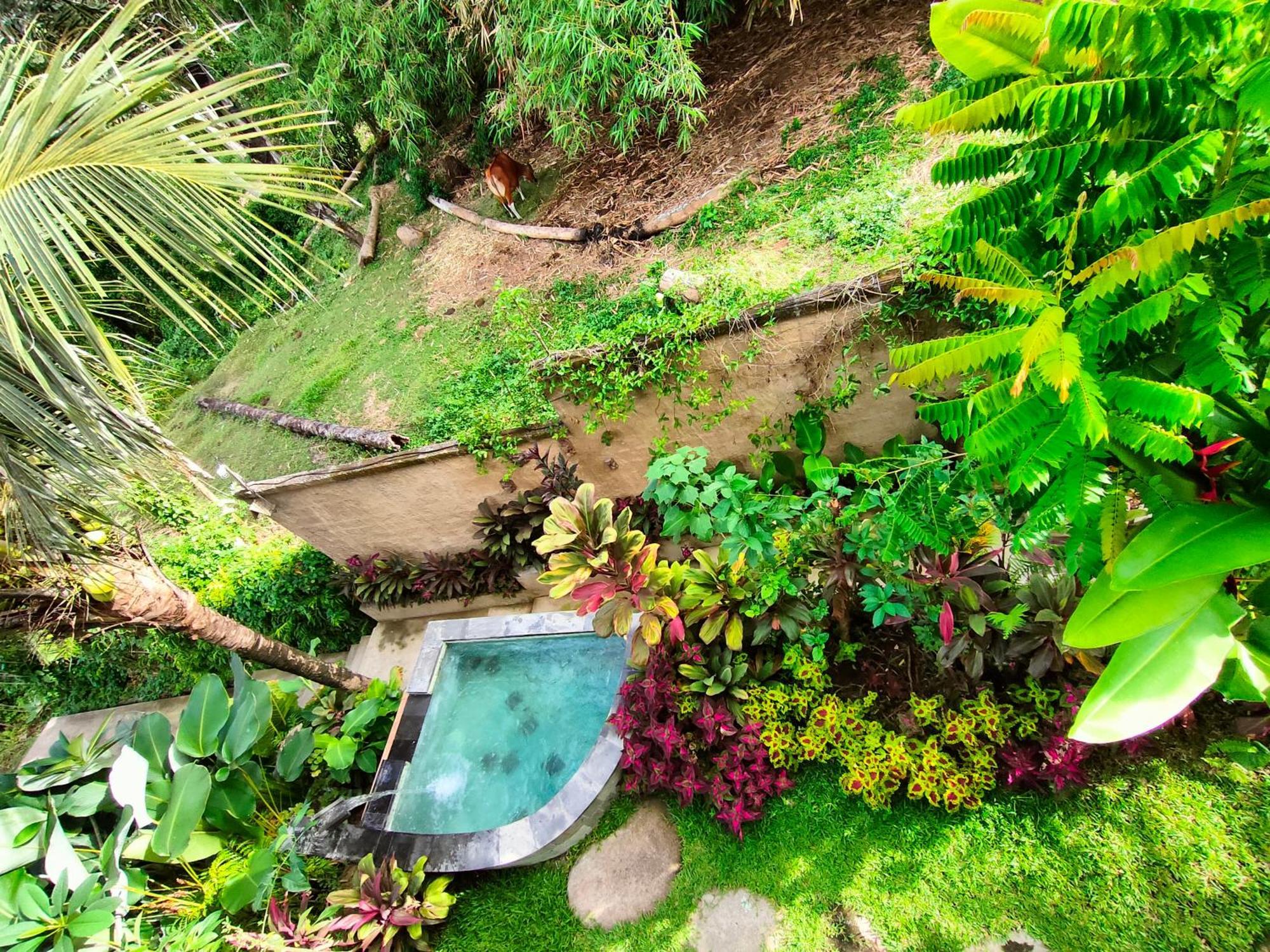 D'Nanda Villa Ubud Extérieur photo
