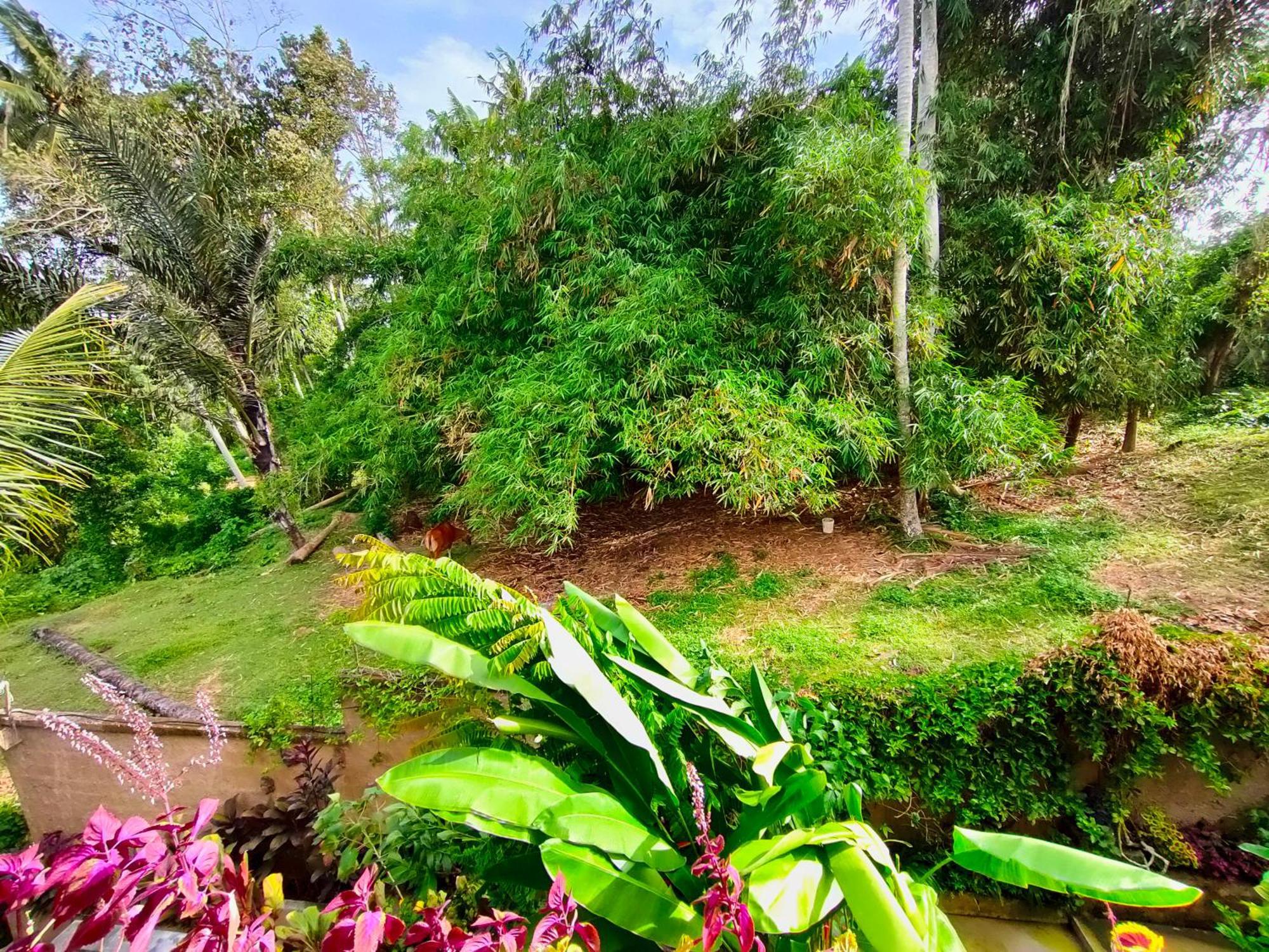 D'Nanda Villa Ubud Chambre photo
