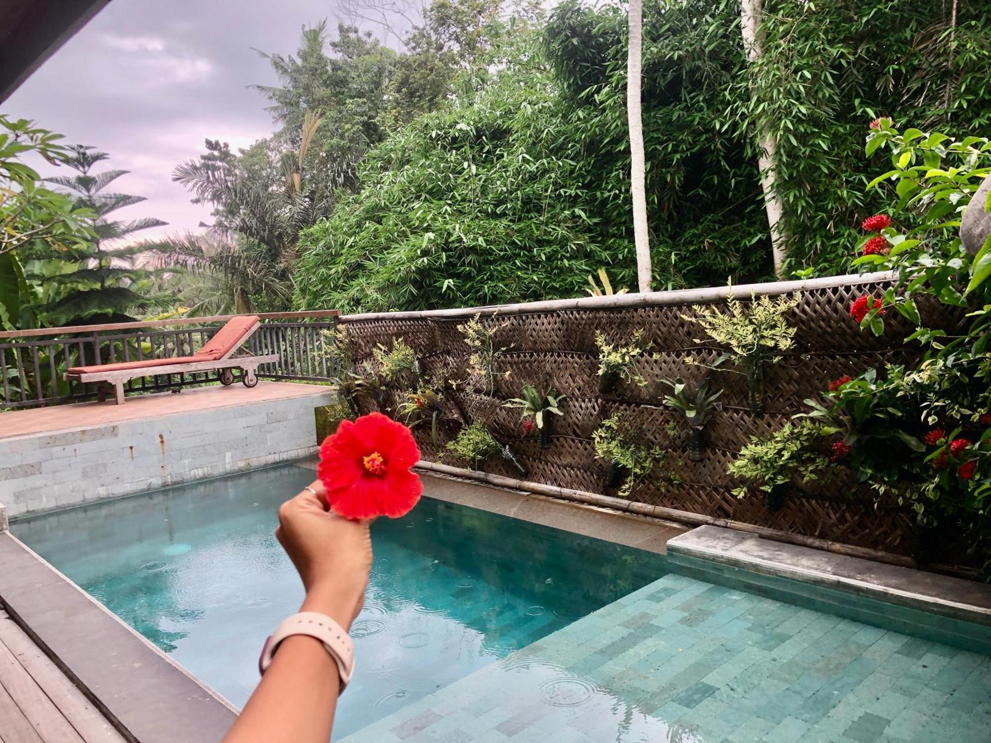 D'Nanda Villa Ubud Extérieur photo