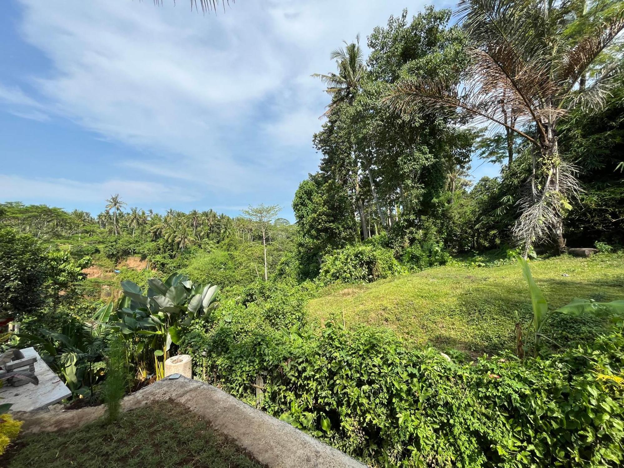 D'Nanda Villa Ubud Extérieur photo